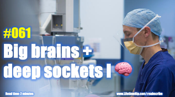 Big brains + deep sockets I